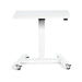 Lavoro Flex Mobile Standing Desk - My Zen Space